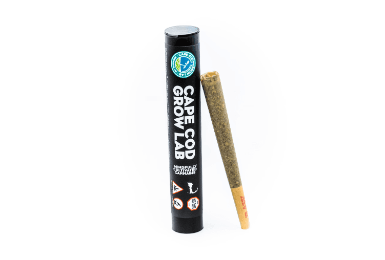 Sticky Ricky | Preroll