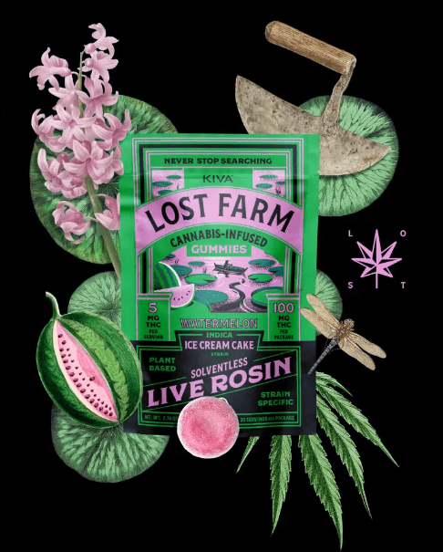 Kiva | Lost Farm | Ice Cream Cake X Watermelon