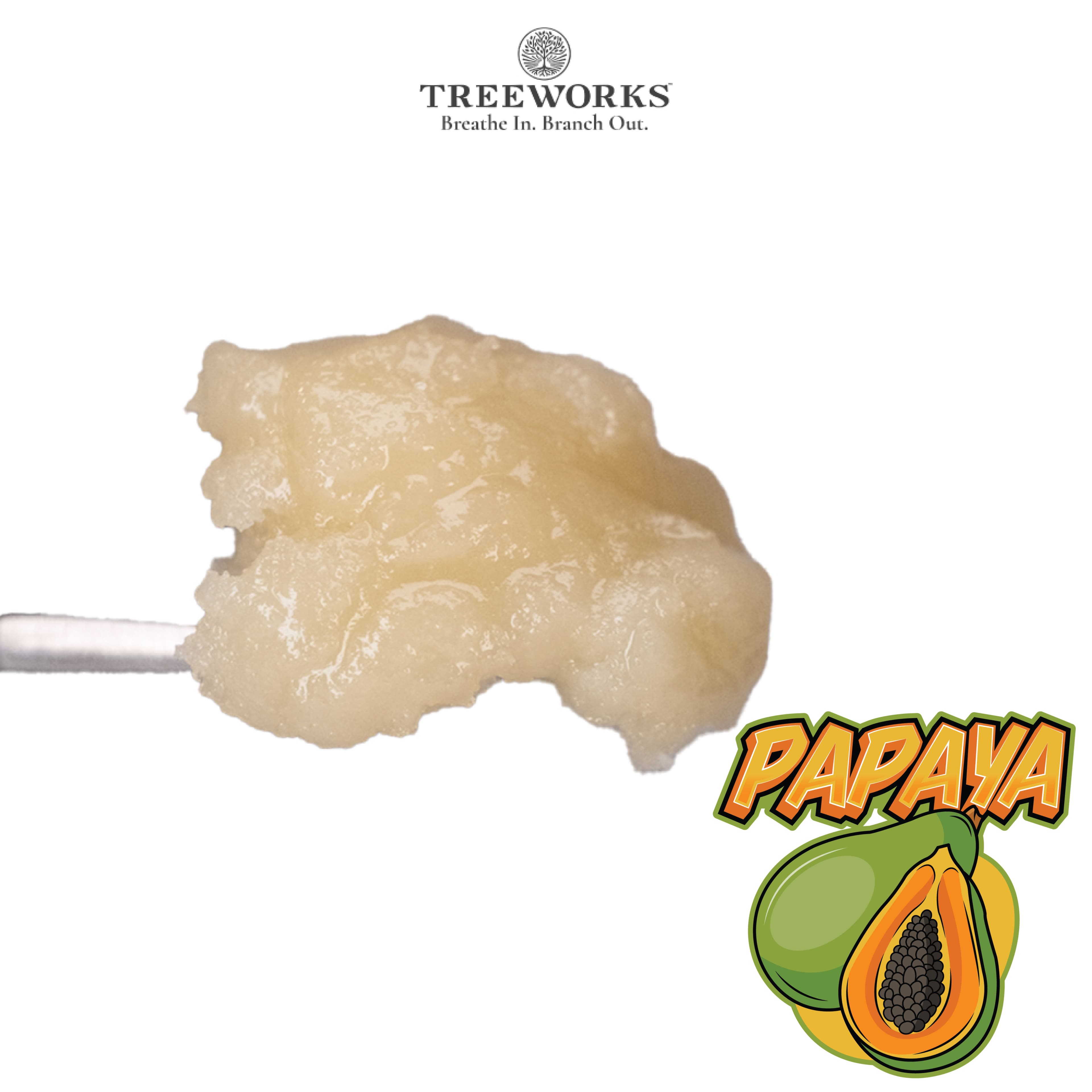 Papaya | Live Rosin 1G