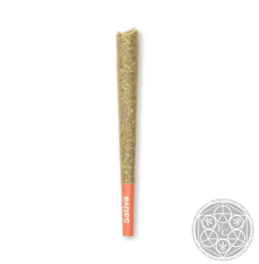 Perfect Pair | 1G Preroll